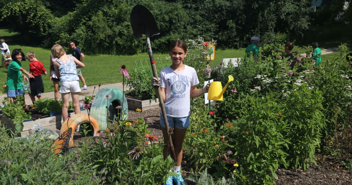 Young Greendale gardeners growing produce with a purpose