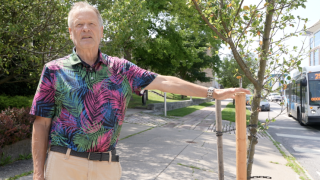 Buffalo City of Buffalo expanding tree canopy to add shade, reduce urban heat Althea Castro de la Mata