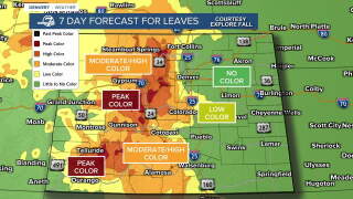 Colorado's Fall Foliage Forecast