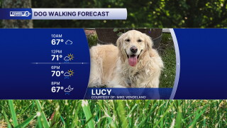 Lucy