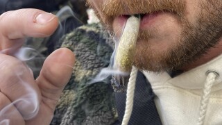 Marijuana Daily Use