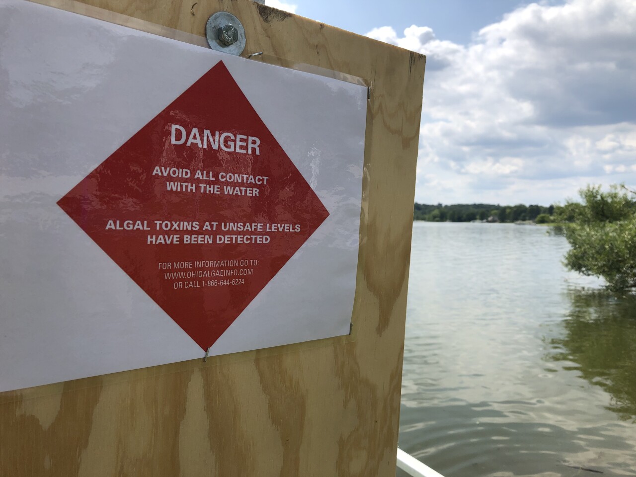 Algal bloom in Springfield Lake