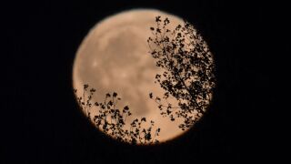 Look up tonight! Strawberry Moon will appear in sky Friday
