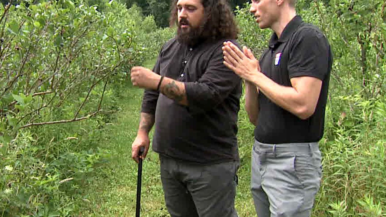 MISSION ON THE FARM: Bangor blueberry farmer giving vets free pints 