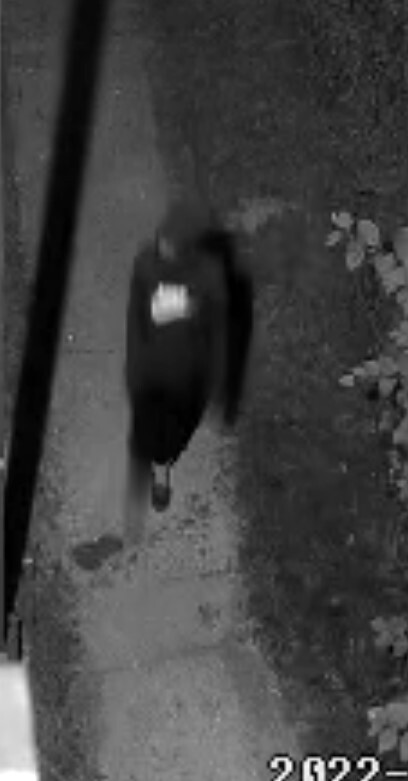 Benton Harbor Shooting