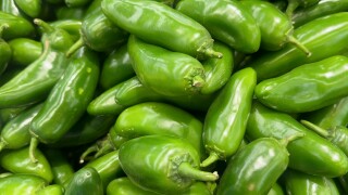 jalapeno