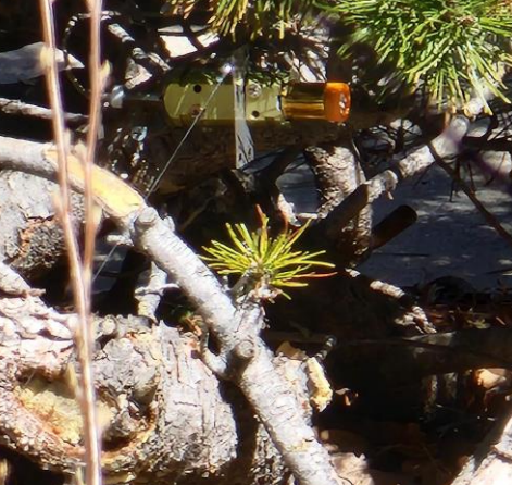 douglas county sheriff's office_booby trap