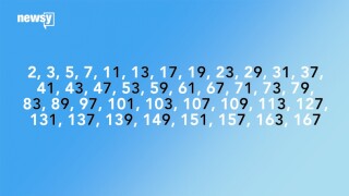 A graphic of several prime numbers.