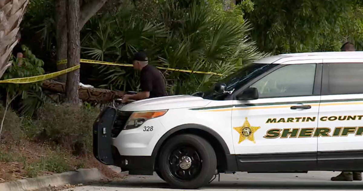 2 arrested after victim suffers 'violent death' from cinder block - Vimarsana News