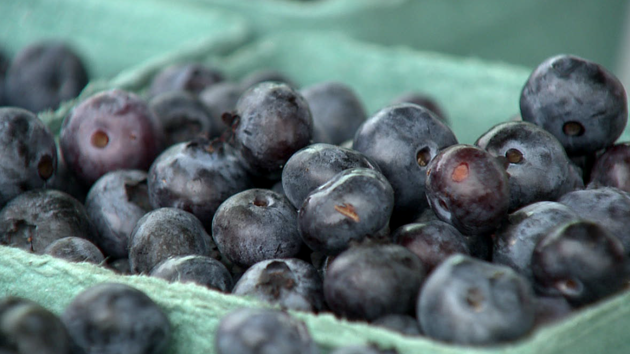 MISSION ON THE FARM: Bangor blueberry farmer giving vets free pints 