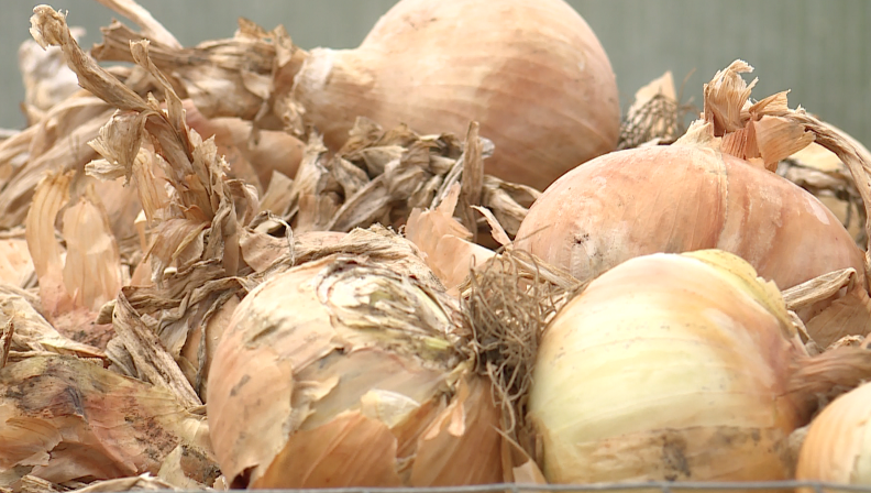 Onions, Produce