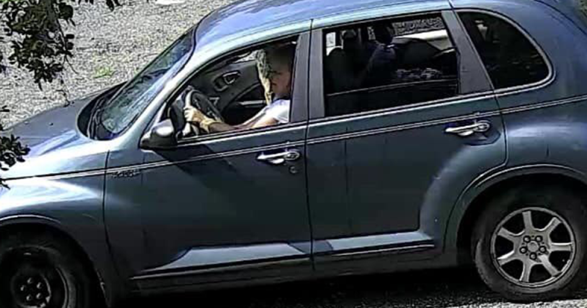 Woman caught on camera dumping 10 cats, dog on side of road