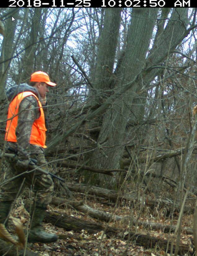 bath-township trail camera picture