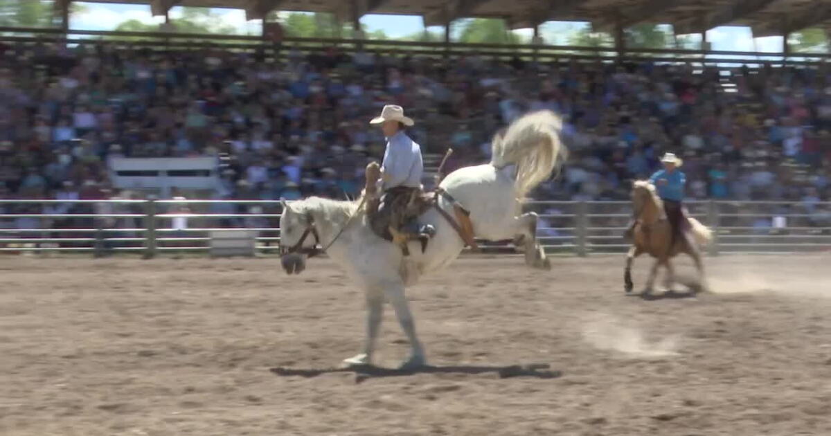 August Stephens Rodeo Augusta Rodeo brings community, cowboys, and an economic boost