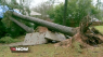 Southeast storms kill at least five