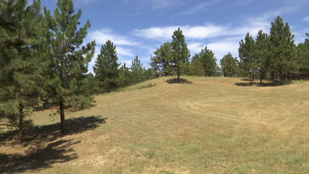 062321 YARD WIDE.jpg