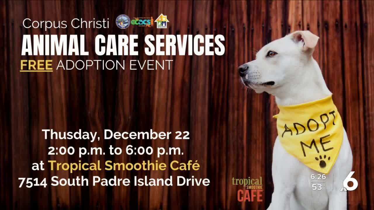 CCACS pet adoption event