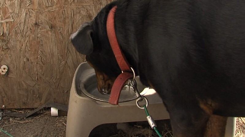 Screenshot 2024-08-27 191153.jpg