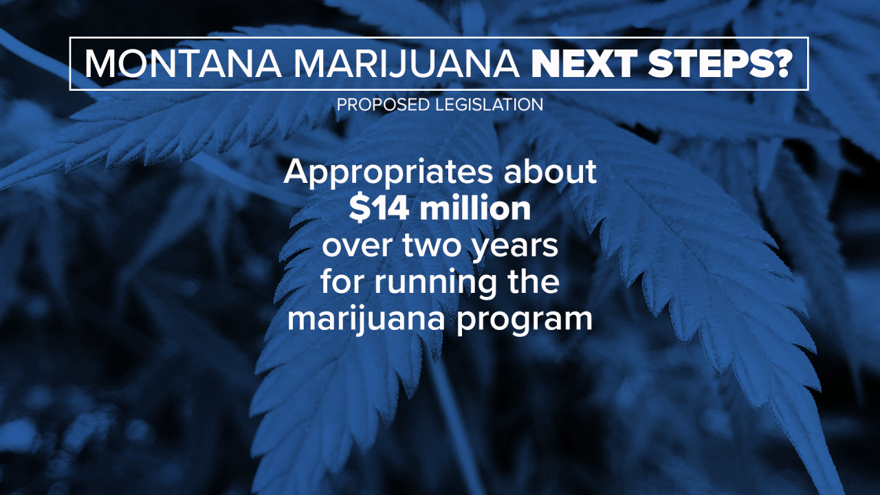 marijuana next steps
