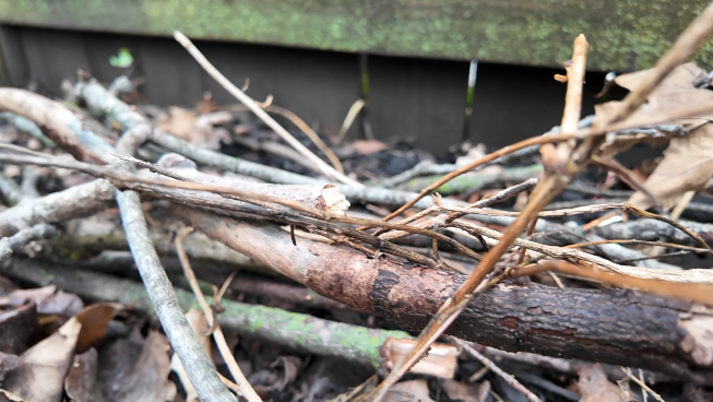 Screenshot 2026-03-27 at 5.53.27 PM.png