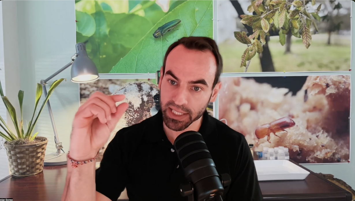 Dr. Demian Gomez, Regional Forest Health Coordinator for Texas A&M Forest Service