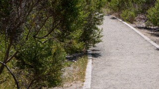 TRAIL.jpg