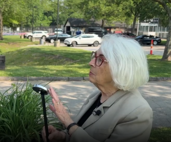 Screenshot 2025-06-18 at 5.52.52 AM.png