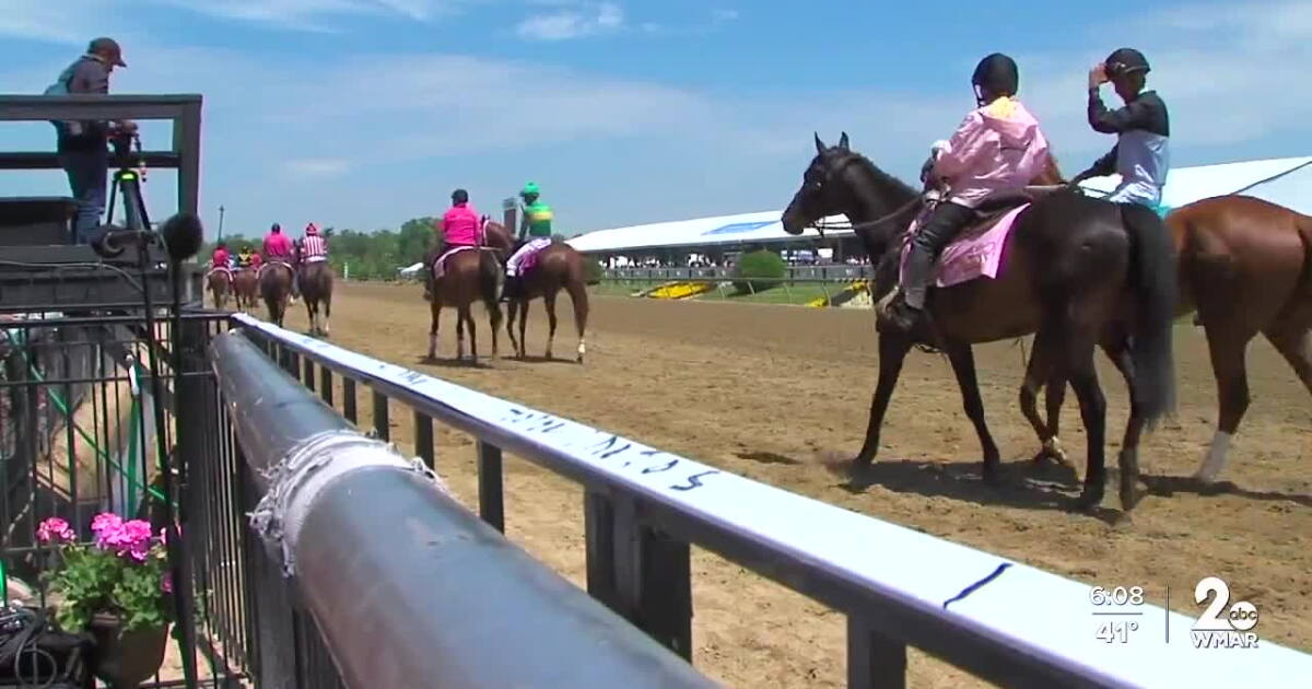 State’s purchase of Pimlico stalling in the gate State’s purchase of Pimlico stalling in the gate