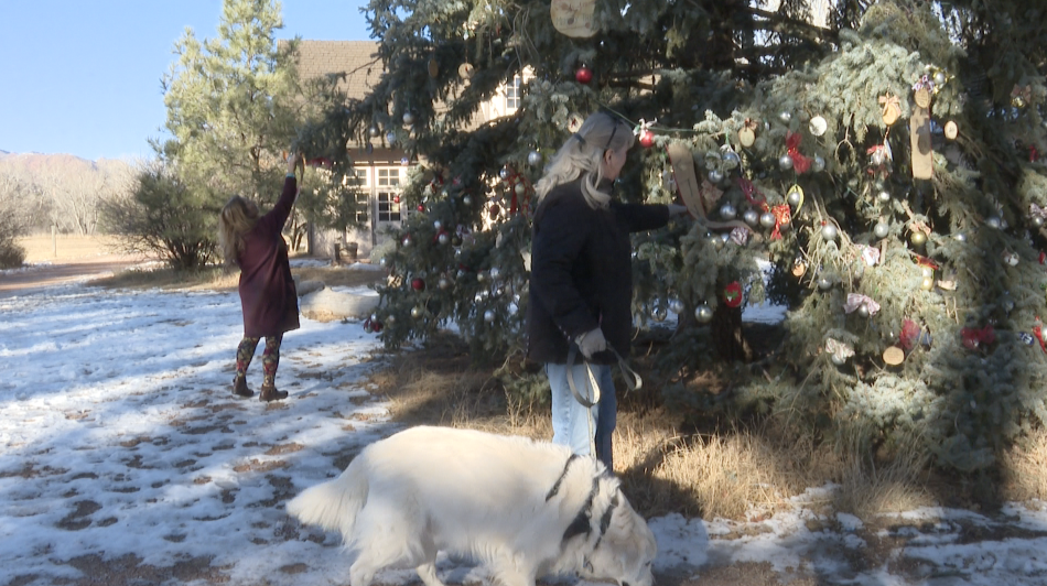 Heartbeat Memory Tree