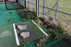 batting cages