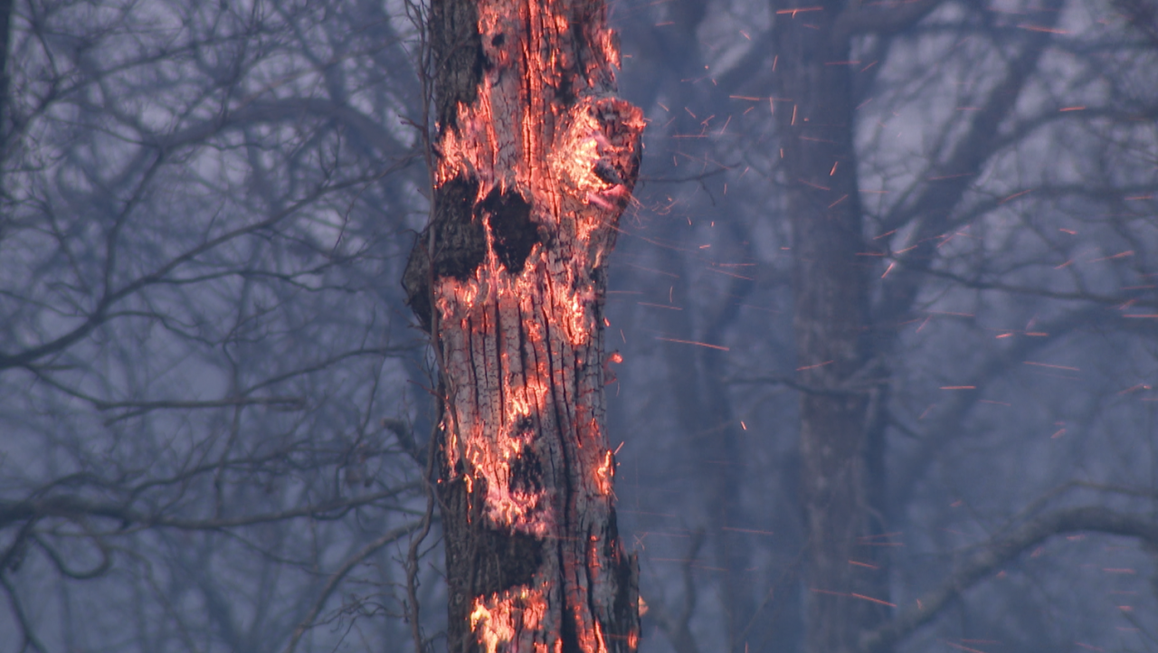 CU chelsea wildfire 2026-02-19 at 9.59.50 PM.png