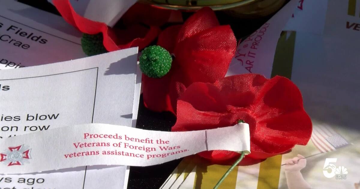 Members of Falcon's VFW Post hand out buddy poppies in honor of ...