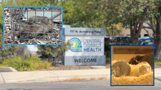 Central District Health Rat Funds