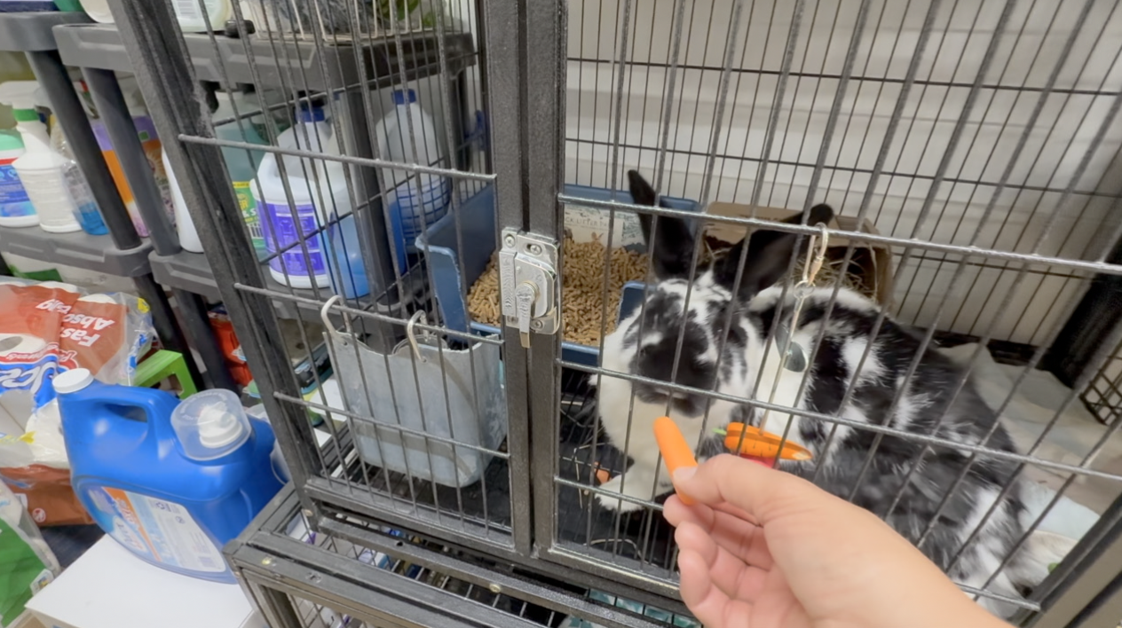 Screenshot 2025-08-15 at 6.03.22 PM.png