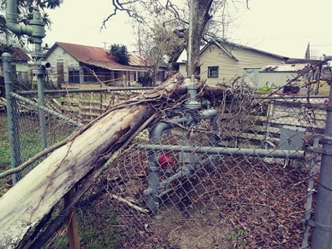 Tree fell on gas junction in Abbeville.