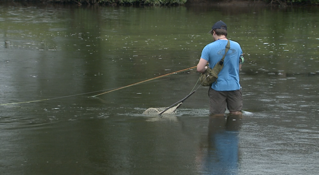 kzoo and creek flooding preps 4.png