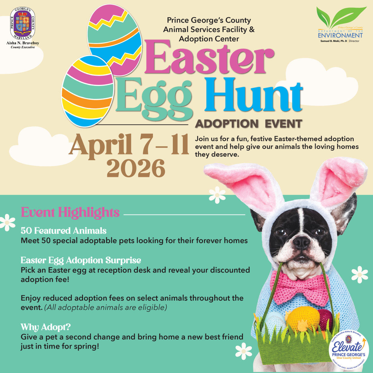Easter animal adoption