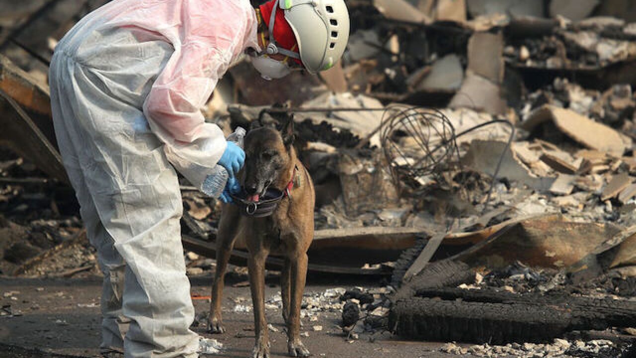As searchers look for remains, President views Camp Fire devastation