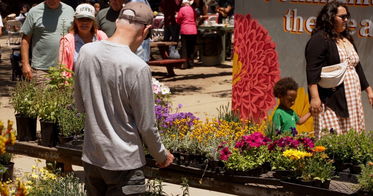 Celebrating 25 Years of Growth & Healing: Transitions-Mental Health Association's Growing Grounds Program