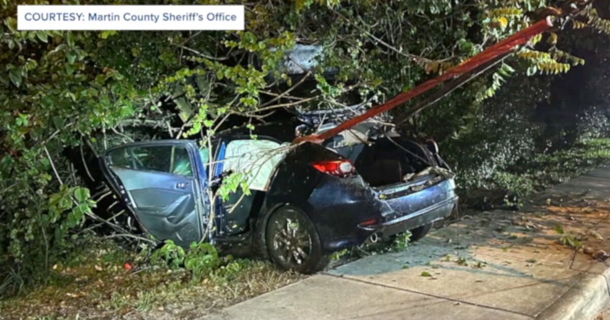 Teen arrested after 3 killed in stolen car crash