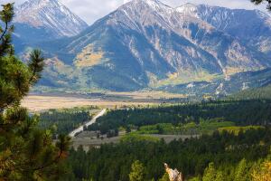 Between Minturn and Silverton aspens_Steve Bowens