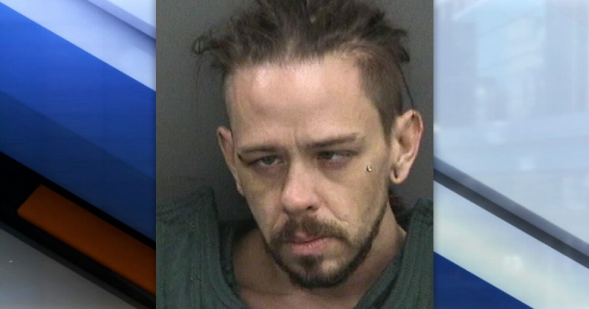 Florida man allegedly stabbed dog after argument with his dad
