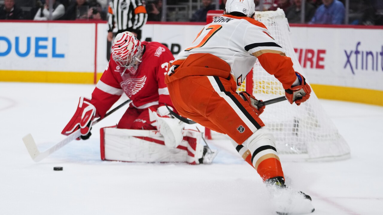 Ducks Red Wings Hockey