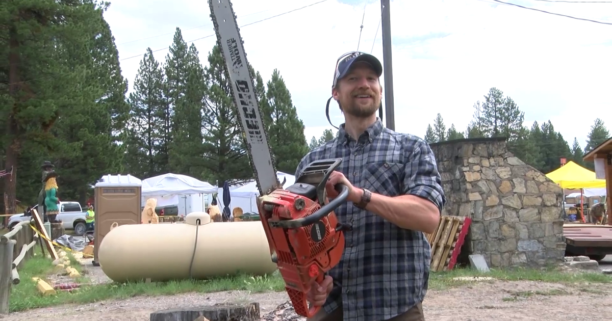 Chainsaw competition takes over Lincoln for a good cause - Vimarsana News