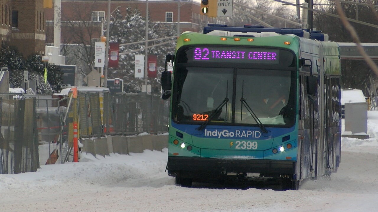 indygo snow 3.jpg