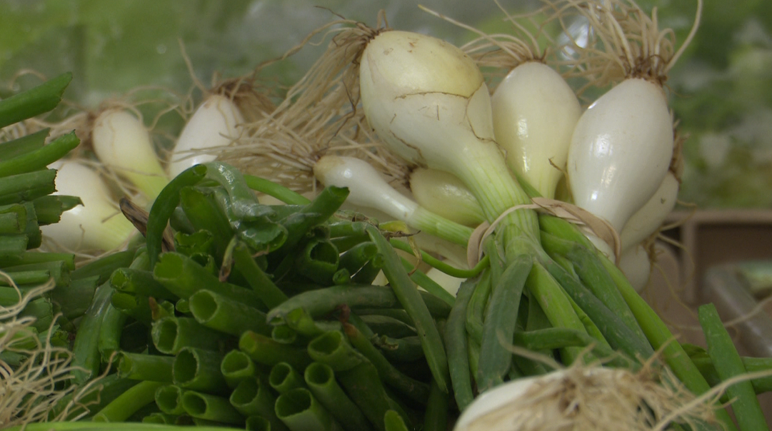 F.R.E.S.H. Project kicking off 3rd mobile market