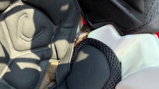 CORRECTION Snake in Helmet