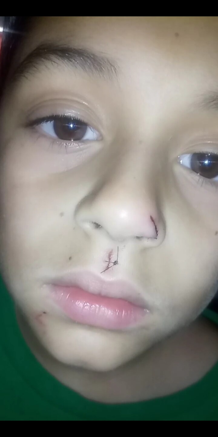 A pit pull was mistakenly put down and now a family is demanding answers and accountability