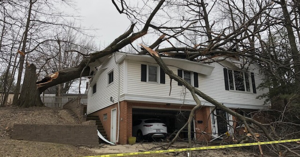 Massive tree falls onto a Cleveland Heights home
