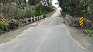 Picture1_2.jpg